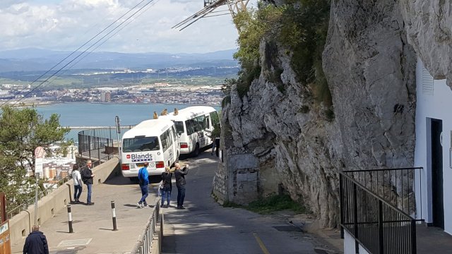 276 gibraltar affen